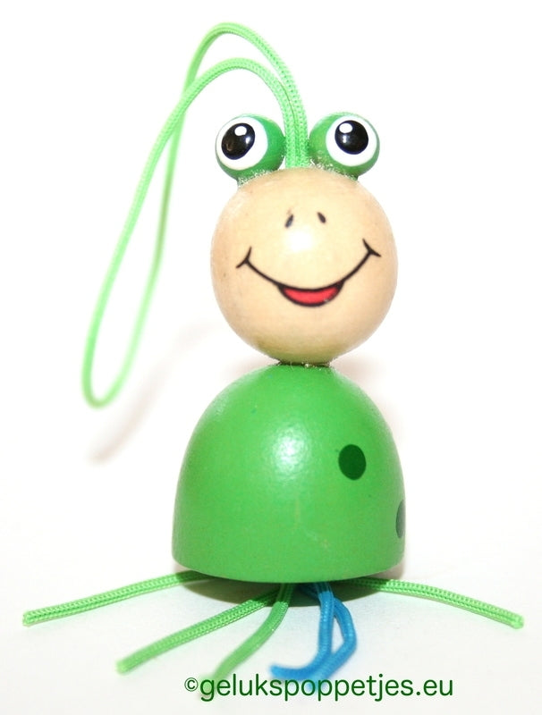 Gelukspoppetje grote kikker