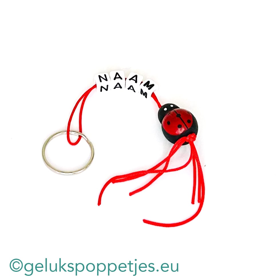Naam sleutelhanger met gelukspoppetje lieveheersbeestje
