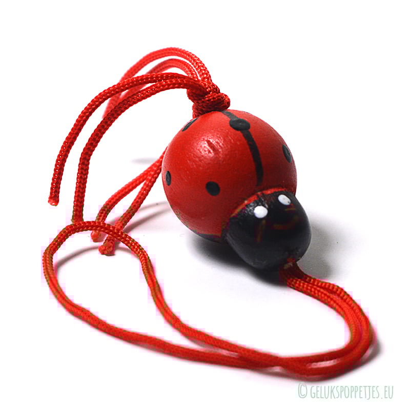 Gelukspoppetje lieveheersbeestje