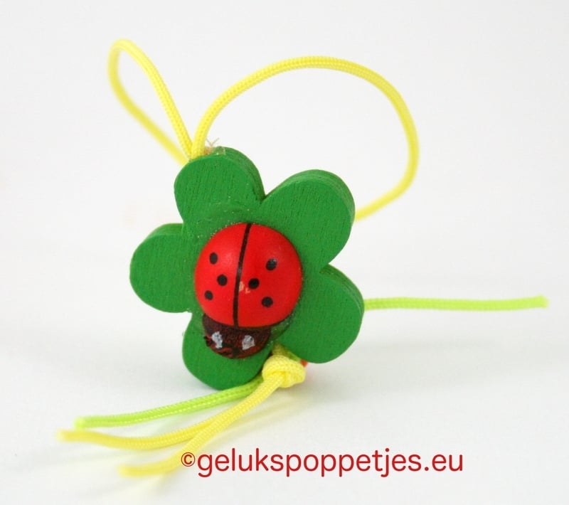 Gelukspoppetje lieveheersbeestje op blad